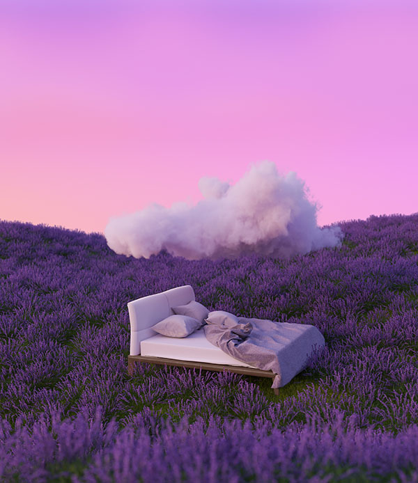 Lavender Bed