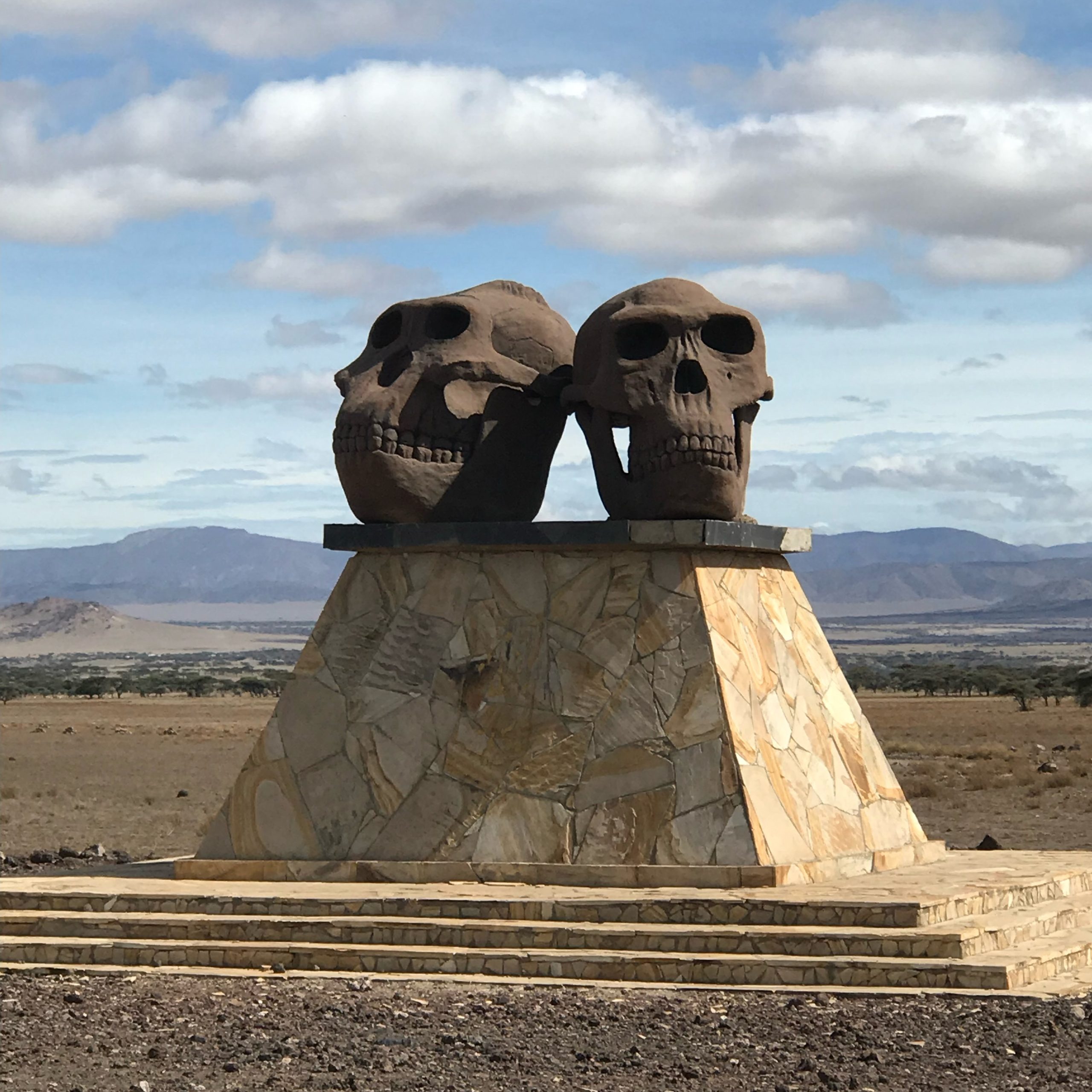 39CB0D89 562A 4272 B222 3199D23B0307 Scaled