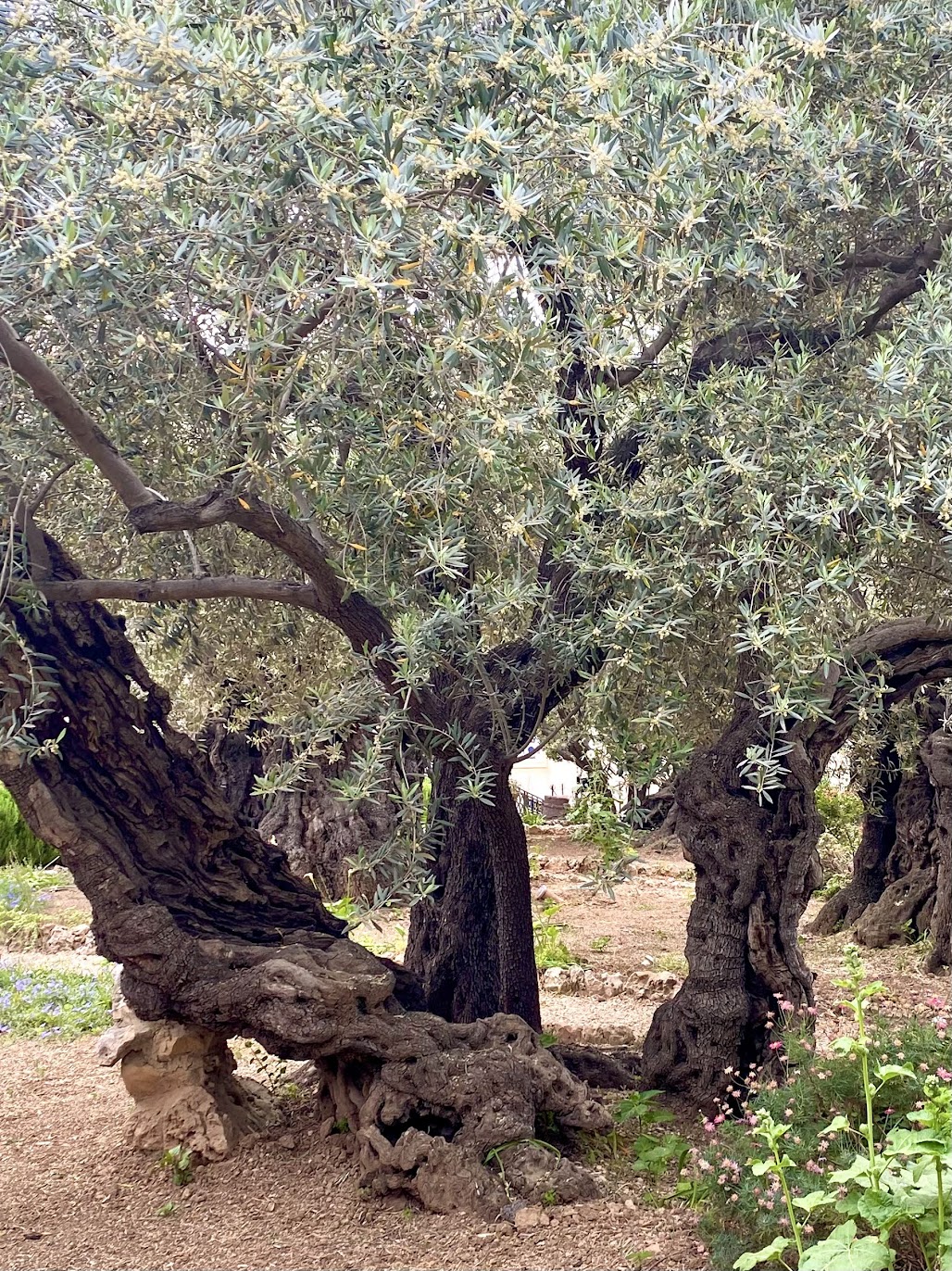 Gethsemane