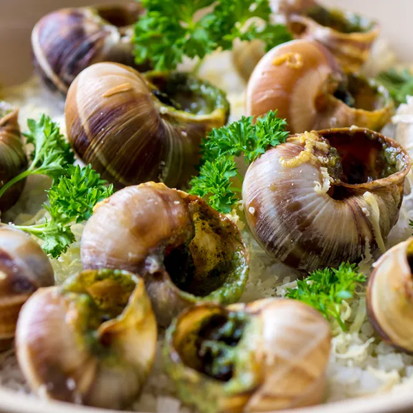 Snails
