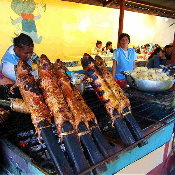 Guinea Pig In Ecuador Favored Pet Or Flavored Platter 2