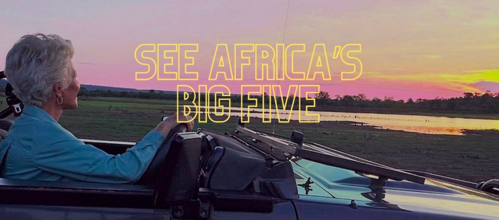 See The Big Five 1024x451