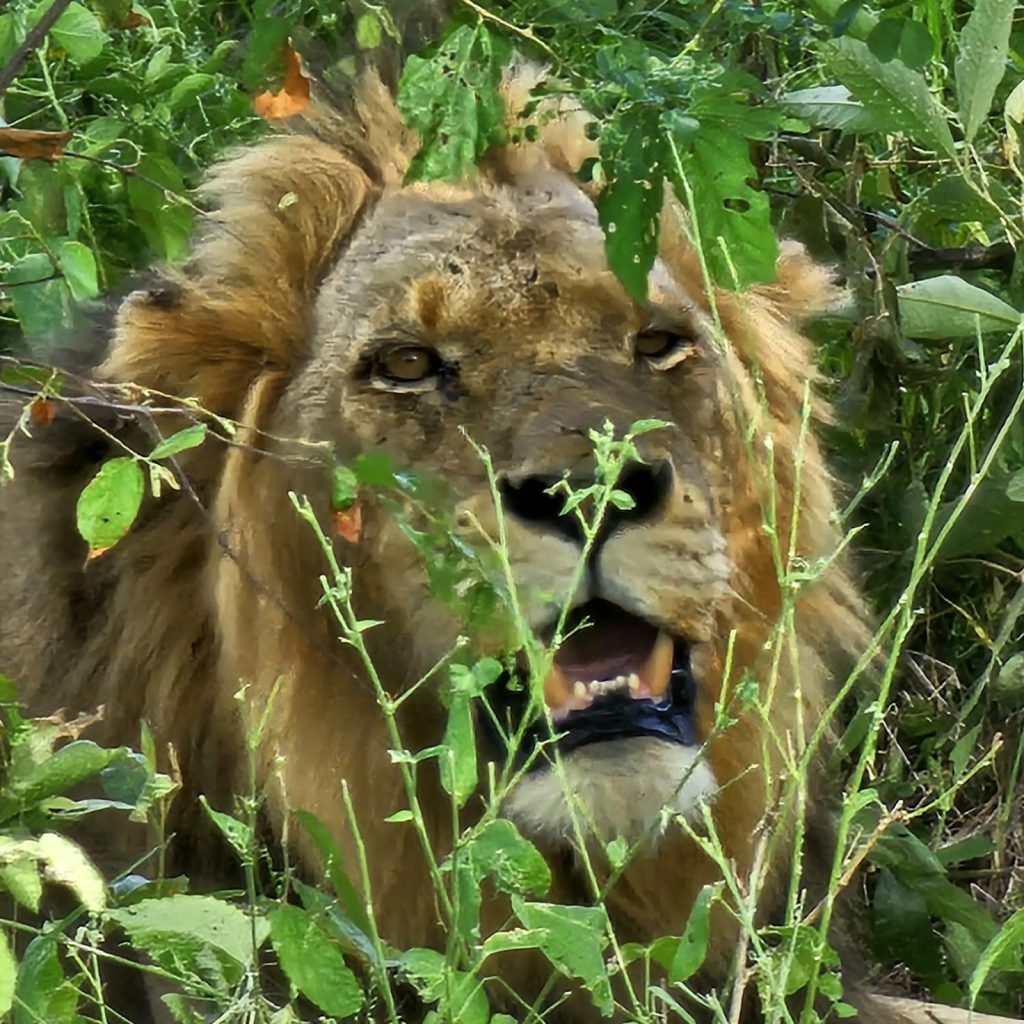 A7716501 3f4e 4d8e 9d9b C9f83f6efb61 1024x1024