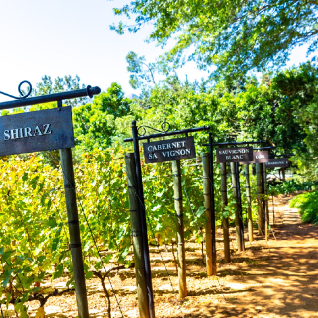 IStock 1140063084 1024x1024