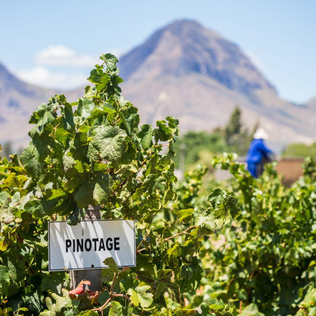 IStock 465472062 1024x1024