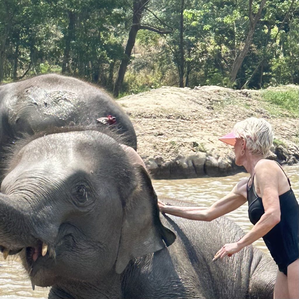 Elephant 1 1024x1024