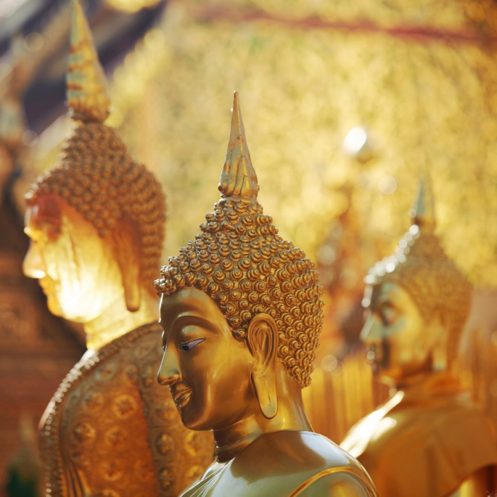 Wat Slider 1 1024x1024