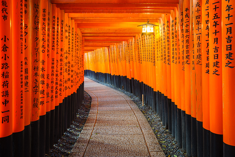 Lines Of Torii 1