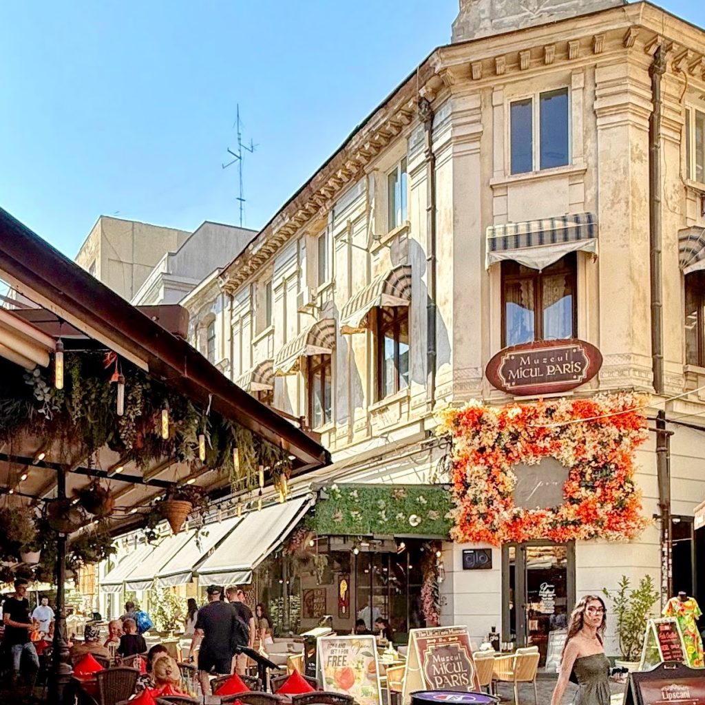 Buch Cafe 3 1024x1024