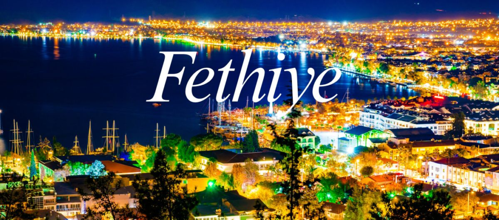 untitled (1200 x 529 px)