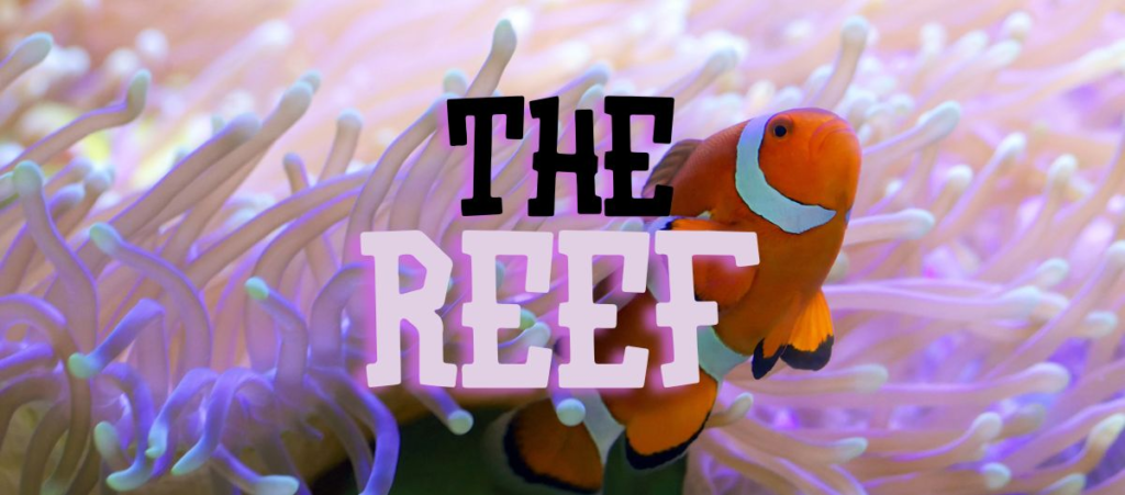 untitled (1200 x 529 px) (1)