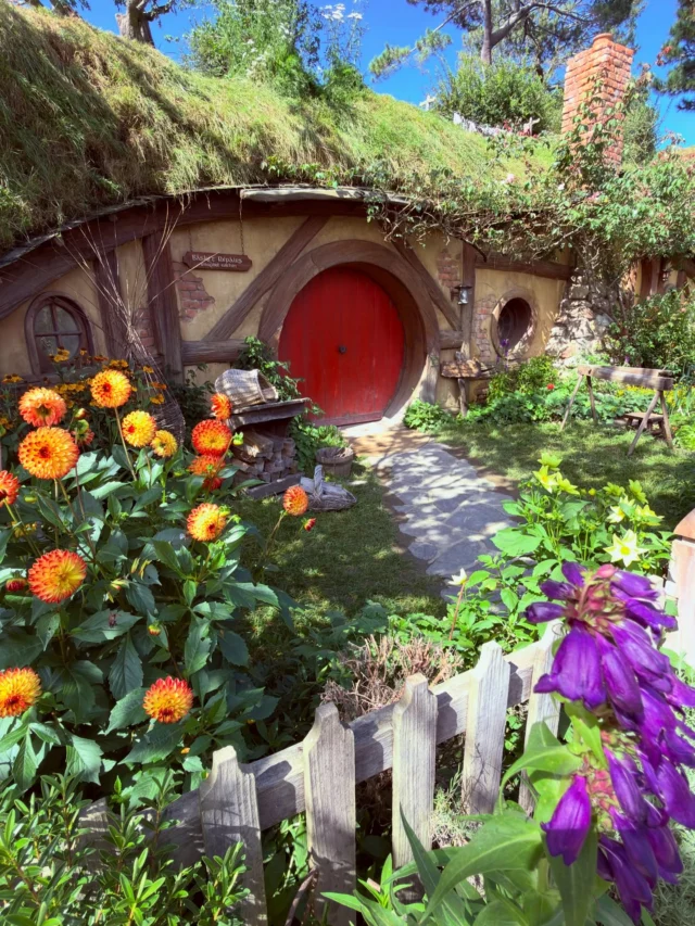 I dare you not to love it. #tolkien #hobbit #matamata #lordoftherings #abroadtravelingabroad