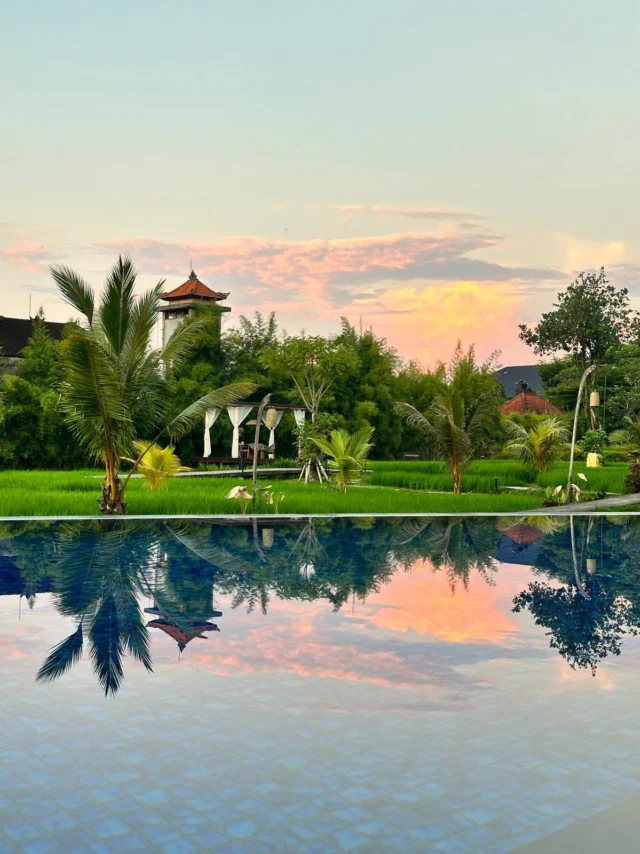 First yoga at sunrise. Then Taman Kupu-Kupu butterflies drifting through lush gardens, a gentle reminder of transformation and Bali’s deep connection to nature. A climb into the mountains to the Jatiluwih Rice Fields. Endless green terraces, shaped by the centuries-old subak irrigation system, reflect a philosophy rooted in cooperation, spirituality and harmony with nature.

Two stops, one theme.